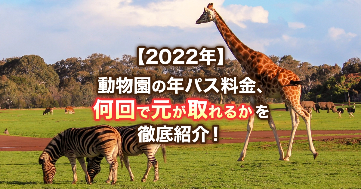 【2022年】大人も子どもも楽しめる動物園の年パス料金はいくら？通常購入と比べて何回行けばお得？